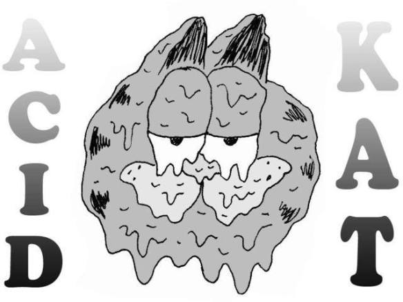 1383182_10202210295533004_2149908889279835362_n