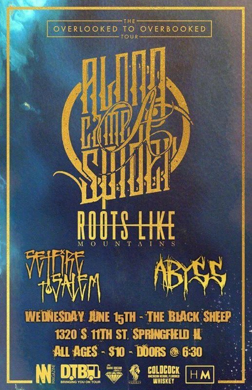 13335787_1747232942157475_3310859461103279674_n