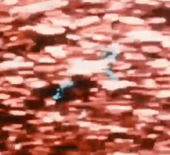 Screen Shot 2019-11-18 at 2.13.08 PM.png