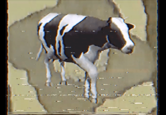 Screen Shot 2020-01-04 at 12.57.15 PM.png